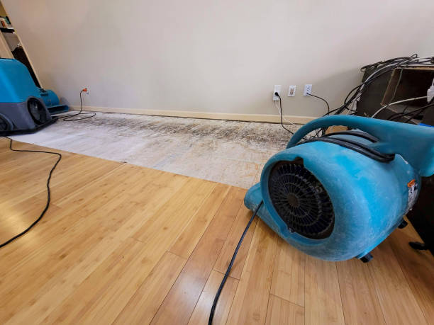 Reliable Crawl Space Water Removal contractor in East Lyme, CT by Hirex Water Damage