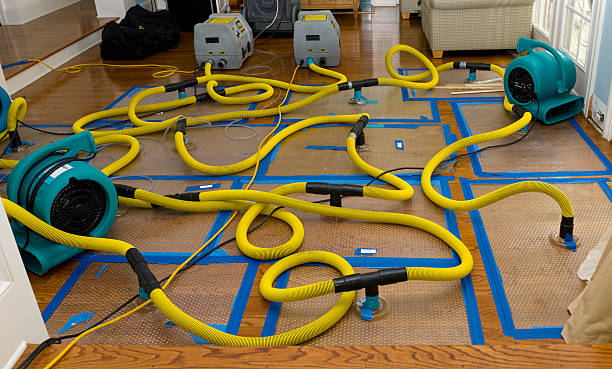 Professional Crawl Space Water Removal technician working in East Lyme, CT